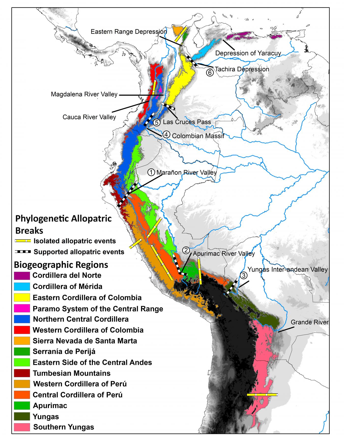 New Study Reveals How The Complex Biodiversity Of The Tropical Andes   Palacio Andean Biodiversity Map 